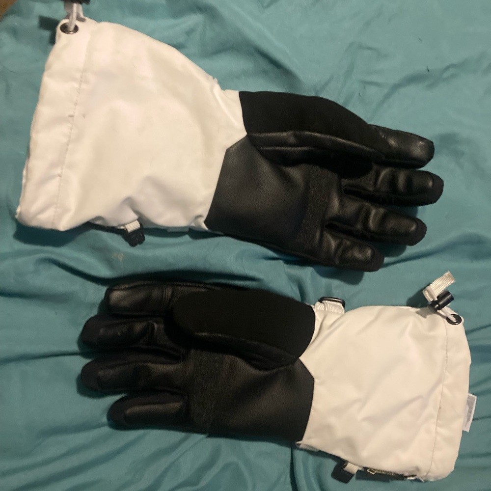 The north face gloves